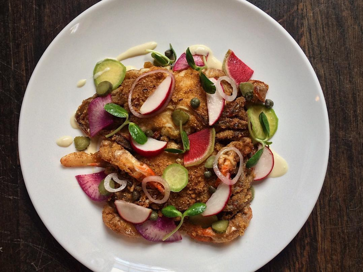 softshellOrdinary.0.0