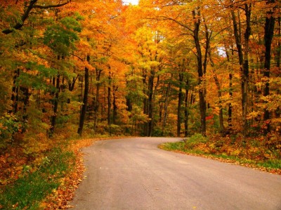 7718308 – a country road in the fall 7718308 – a country road in the fall