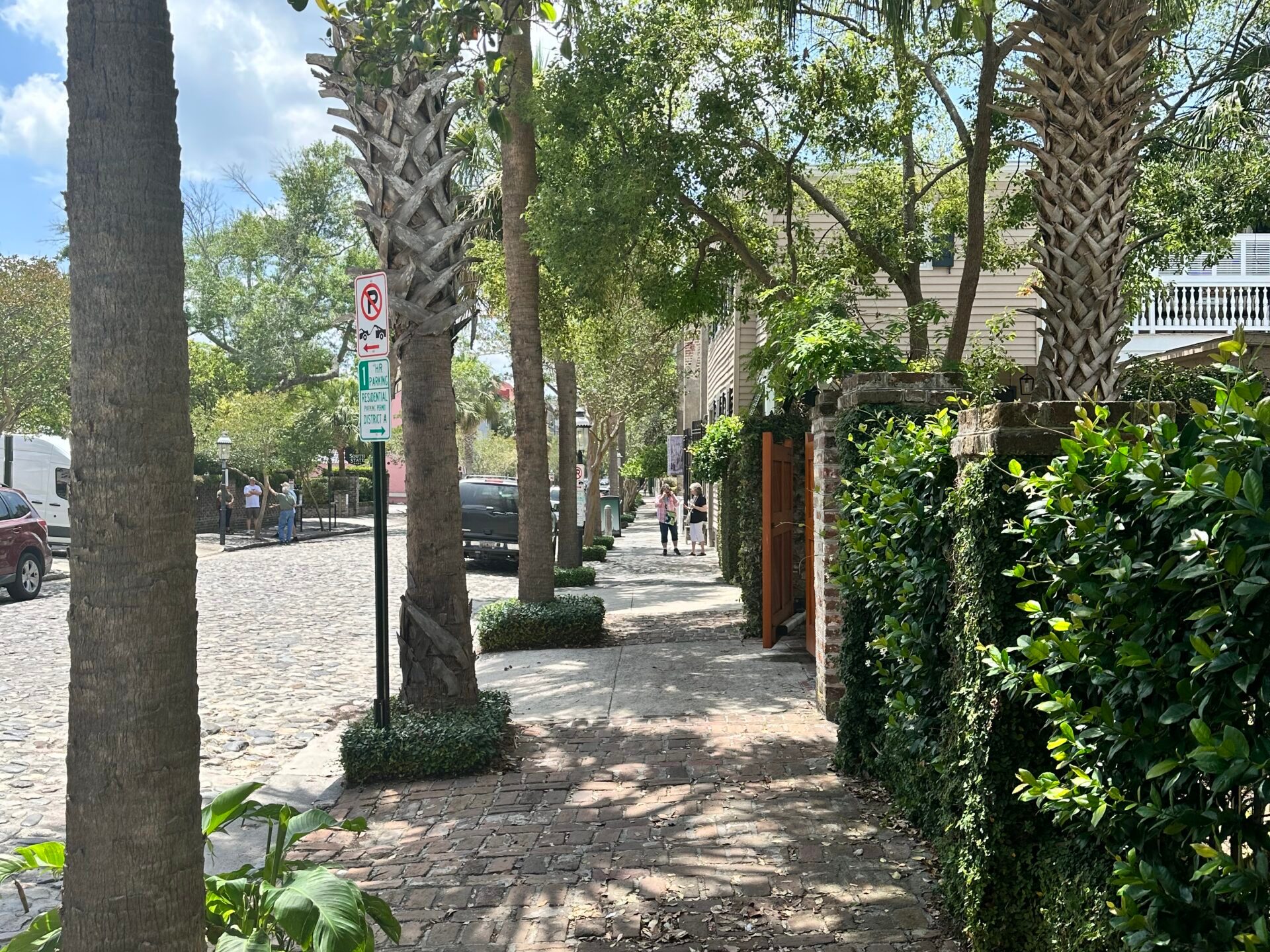 a group of palmetto trees next to a tree