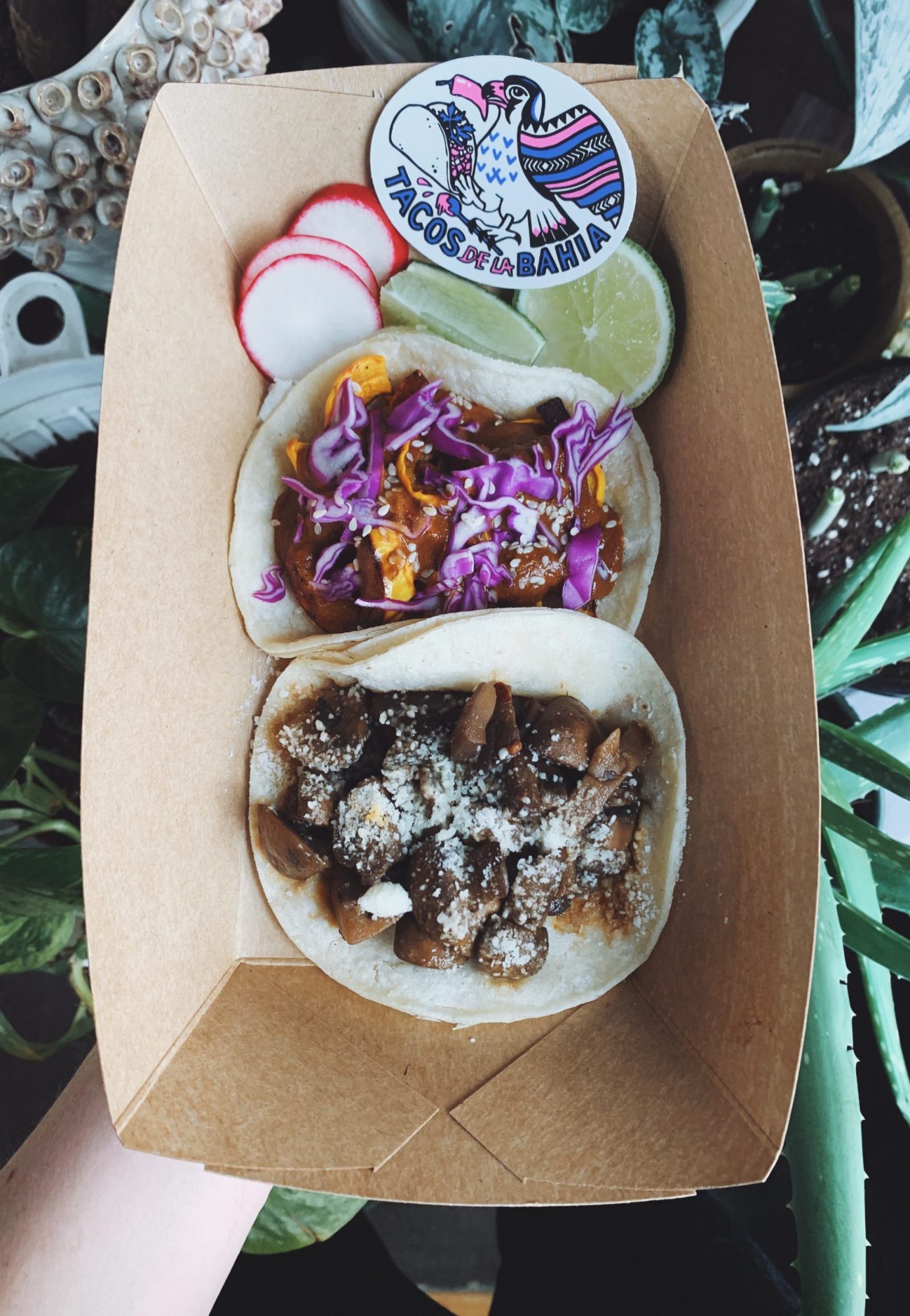 Processed with VSCO with a9 preset beautiful tacos