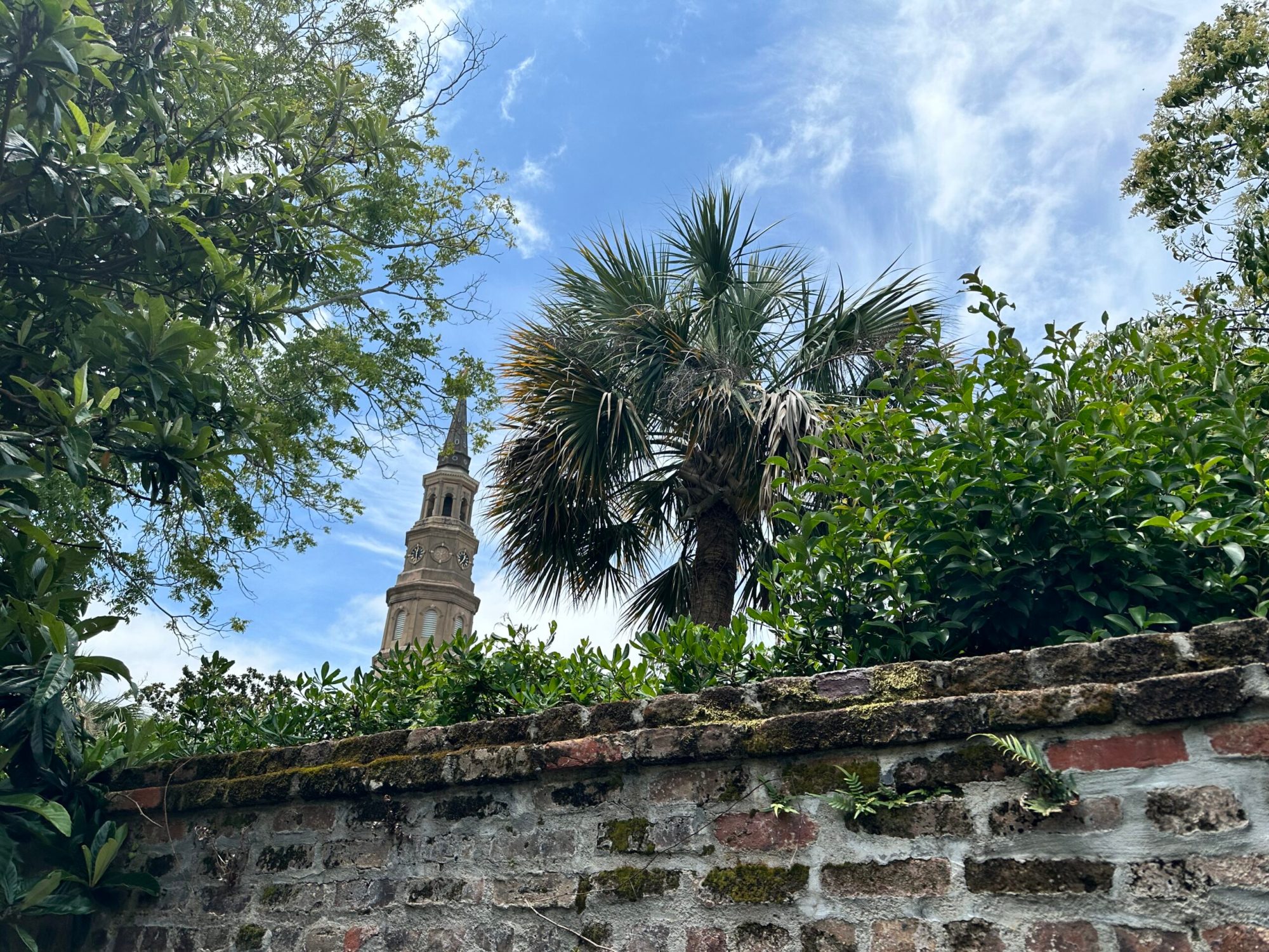 IMG_1132 Charleston