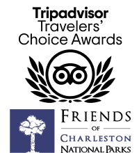 a close up of a logo