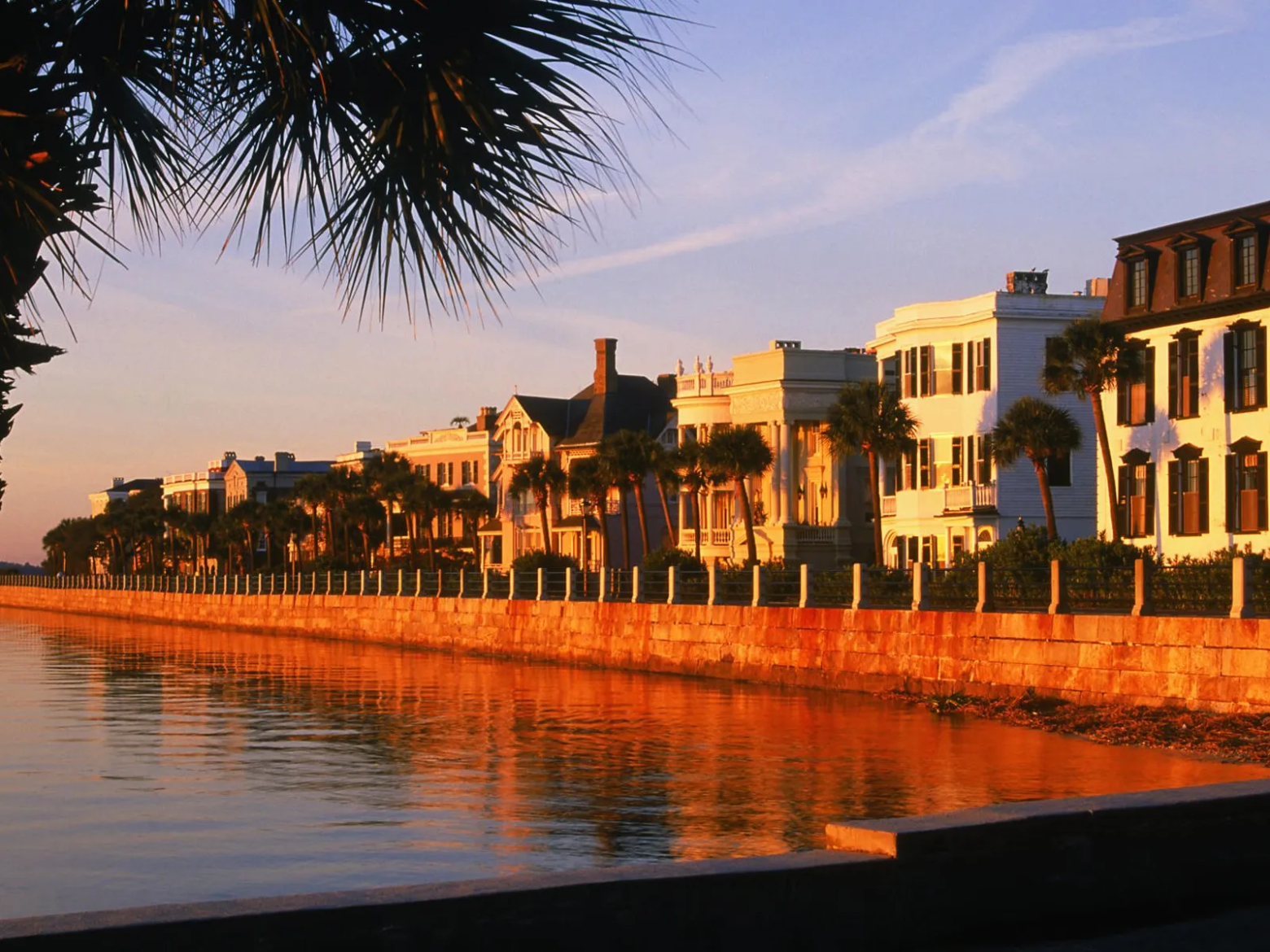 a group of palm trees next to a body of water