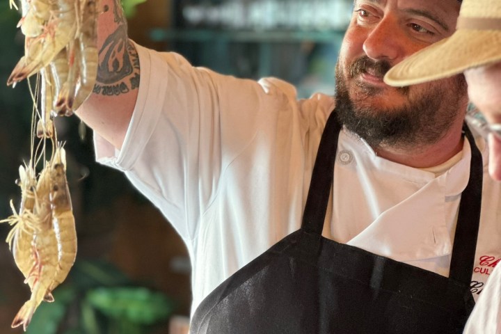 Chef in apron and cap holding a bunch of raw shrimp in a restaurant.